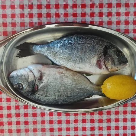 La Talpa Farma