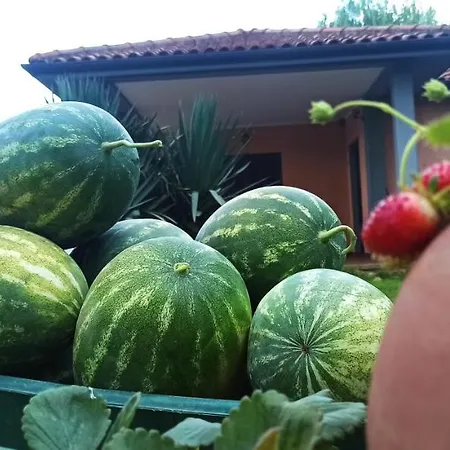 Farm stay La Talpa