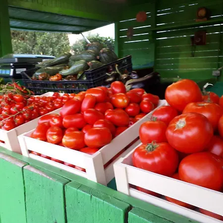 Farm stay La Talpa