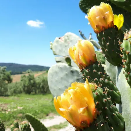 Farm stay La Talpa *