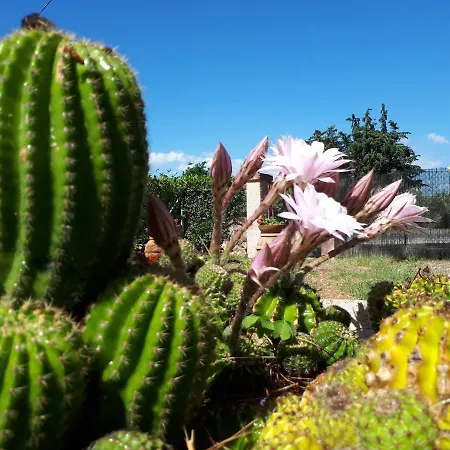 La Talpa Farm stay Marsiliana
