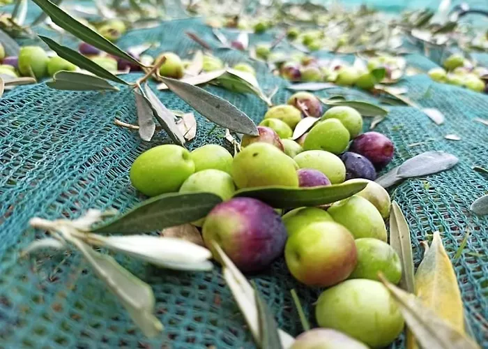 Κατάλυμα σε φάρμα La Talpa Marsiliana